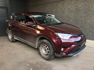 Salvage car Toyota Rav-4 (A4) Terreinwagen 2012 / 2019 2.5 Hybrid 16V VVT-i 4x4 Jeep/SUV  Elektrisch Benzine 2,494cc 114kW 2016/4