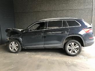 Skoda Kodiaq SUV 2019 2.0 TDI 150 16V SUV  Diesel 1.968cc 110kW (150pk) FWD picture 6