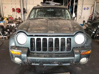 rozbiórka samochody osobowe Jeep Cherokee (XJ) Terreinwagen 1984 / 2001 2.5 Td Sport,SE Jeep/SUV  Diesel 2.499cc 85kW (116pk) 4x4 2001/1