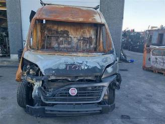 Autoverwertung Fiat Ducato  2020/5