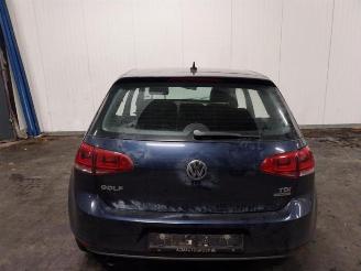 Volkswagen Golf Golf VII (AUA), Hatchback, 2012 / 2021 1.6 TDI 4Motion 16V picture 5