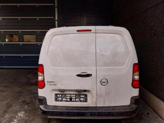 Opel Combo Combo Cargo, Van, 2018 1.5 CDTI 100 picture 11