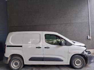 Opel Combo Combo Cargo, Van, 2018 1.5 CDTI 100 picture 6