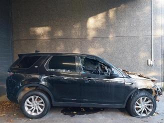 Land Rover Discovery  picture 10