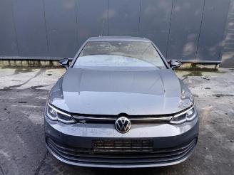 Volkswagen Golf Golf VIII (CD1), Hatchback, 2019 2.0 TDI BlueMotion 16V picture 2