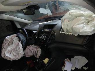 Ford EcoSport EcoSport (JK8), SUV, 2013 1.0 EcoBoost 12V 125 picture 19