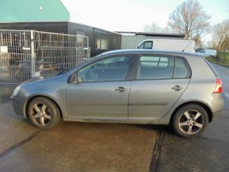 Volkswagen Golf Golf V (1K1), Hatchback, 2003 / 2010 1.9 TDI picture 2