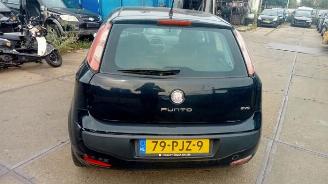 Fiat Punto Punto Evo (199), Hatchback, 2008 / 2012 1.3 JTD Multijet 85 16V Euro 5 picture 3