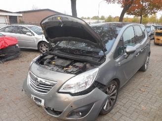 Opel Meriva b picture 1