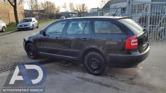 Skoda Octavia Octavia Combi (1Z5), Combi 5-drs, 2004 / 2013 1.9 TDI 4x4 picture 6