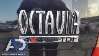 Skoda Octavia Octavia Combi (1Z5), Combi 5-drs, 2004 / 2013 1.9 TDI 4x4 picture 7
