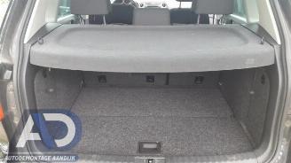 Volkswagen Tiguan Tiguan (5N1/2), SUV, 2007 / 2018 2.0 TDI 16V 4Motion picture 17