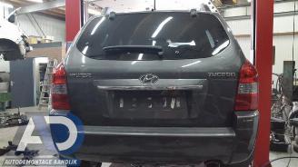 Hyundai Tucson Tucson (JM), SUV, 2004 / 2010 2.0 16V CVVT 4x2 picture 5