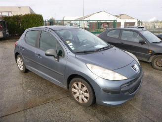 Peugeot 207 1.4 HDI picture 2