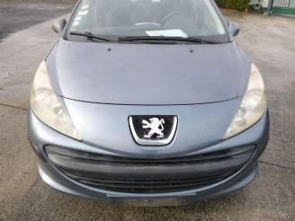 Peugeot 207 1.4 HDI picture 9