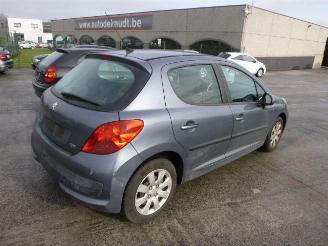 Peugeot 207 1.4 HDI picture 3