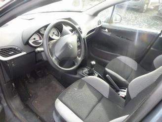 Peugeot 207 1.4 HDI picture 5
