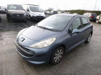 Peugeot 207 1.4 HDI picture 1