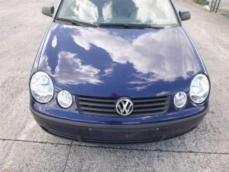 Volkswagen Polo 1.9 SDI picture 4