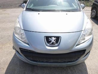 Peugeot 207 SW  1.6 HDI picture 7