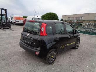 Fiat Panda 1.2   POP picture 2