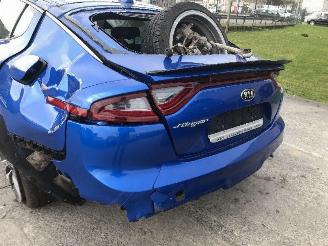 Kia Stinger 2.0 T  G4KL picture 12