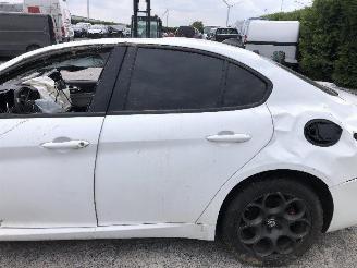 Alfa Romeo Giulia 2.0 TURBO 55273835 picture 11