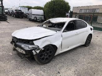 Alfa Romeo Giulia 2.0 TURBO 55273835 picture 8