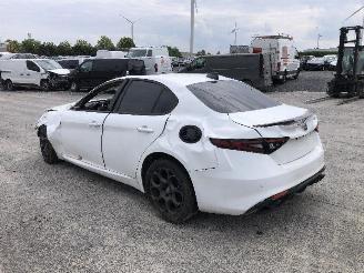 Alfa Romeo Giulia 2.0 TURBO 55273835 picture 2