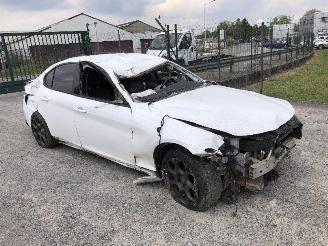 Alfa Romeo Giulia 2.0 TURBO 55273835 picture 3