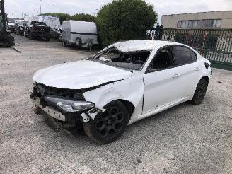 Alfa Romeo Giulia 2.0 TURBO 55273835 picture 4