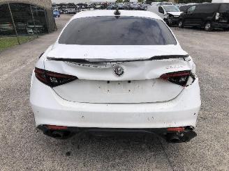 Alfa Romeo Giulia 2.0 TURBO 55273835 picture 10