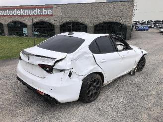 Autoverwertung Alfa Romeo Giulia 2.0 TURBO 55273835 2019/10