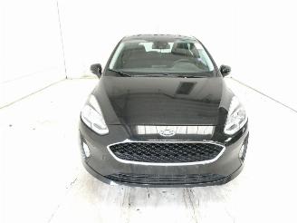 Ford Fiesta BUSINESS picture 2