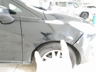 Ford Fiesta BUSINESS picture 17