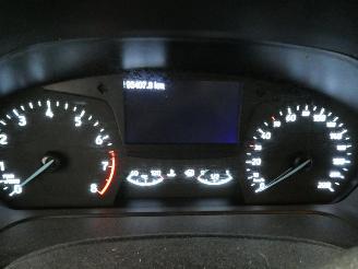 Ford Fiesta BUSINESS picture 19