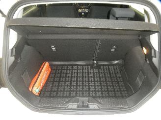 Ford Fiesta 1.1 5 DEURS picture 14