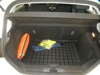 Ford Fiesta 1.1 5 DEURS picture 14
