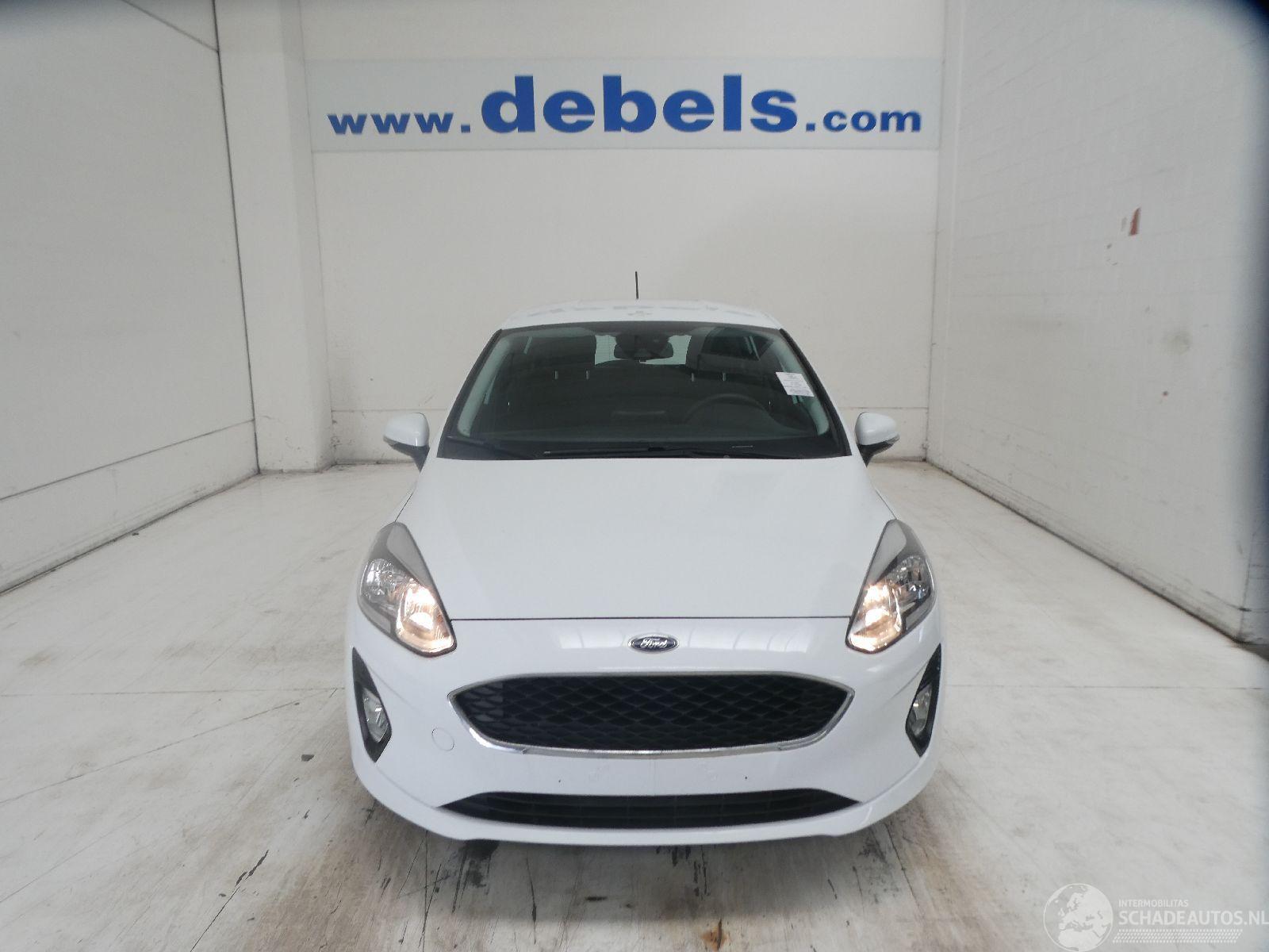 Ford Fiesta 1.1 5 DEURS