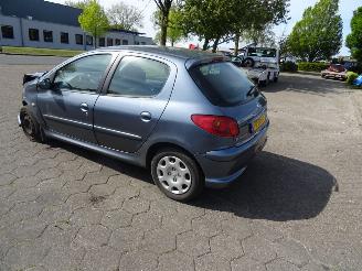Peugeot 206 1.4 Forever picture 5