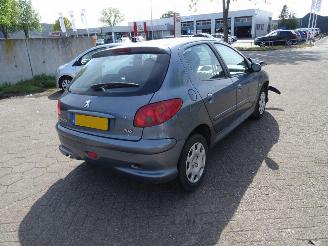Peugeot 206 1.4 Forever picture 7