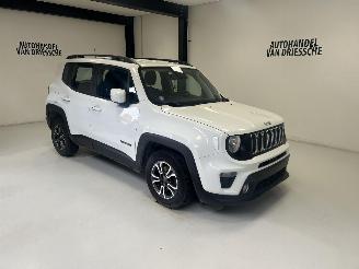 damaged passenger cars Jeep Renegade  2019/9