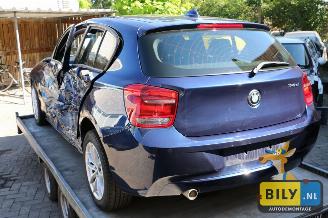 BMW 1-serie F20 114d picture 2