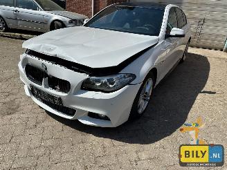 skadebil auto BMW  F10 518D Alpinewiess 3 2014/1