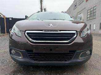 Peugeot 2008 ACTIVE picture 6