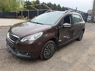 Peugeot 2008 ACTIVE picture 9