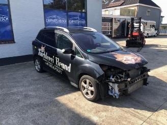 Ford Grand C-Max Grand C-Max (DXA), MPV, 2010 / 2019 1.6 EcoBoost 16V picture 3