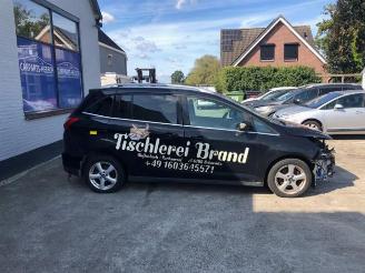 Ford Grand C-Max Grand C-Max (DXA), MPV, 2010 / 2019 1.6 EcoBoost 16V picture 4