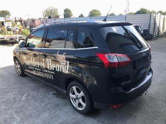 Ford Grand C-Max Grand C-Max (DXA), MPV, 2010 / 2019 1.6 EcoBoost 16V picture 6