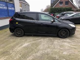 Ford Grand C-Max Grand C-Max (DXA), MPV, 2010 / 2019 1.6 EcoBoost 16V picture 5